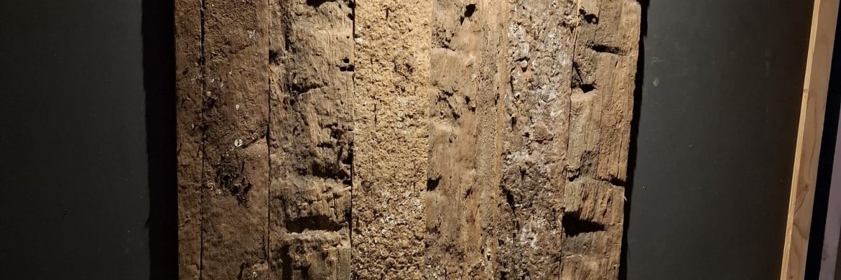 Barnwood: Old Basralocus